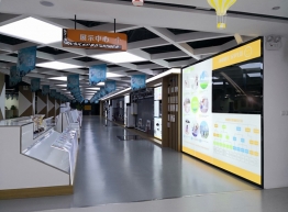 展厅陈列